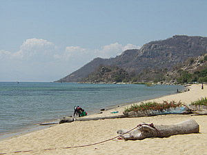 norman carr cottage beach